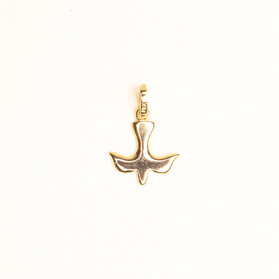Espiritu Santo Solido Oro Amarillo 14k