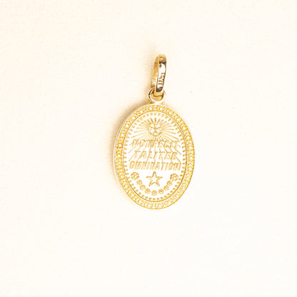 Medalla Broquel Virgen Gpe Oval Oro 14k