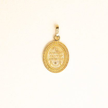 Medalla Broquel Virgen Gpe Oval Oro 14k