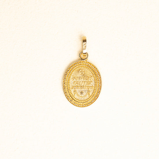 Medalla Broquel Virgen Gpe Oval Oro 14k